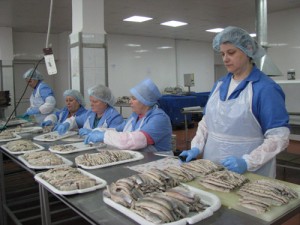 Darba vietas Īrijā zivju apstrādes rūpniecībā.