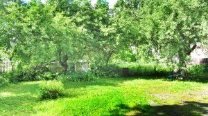 Īpašnieks pārdod zemi Purvciemā.