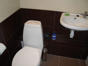 Izīrē 1 istabas dzīvokli Tīnūžu iela