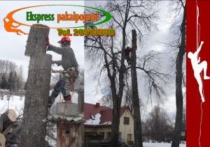 koku zagesana,teritoriju sakopsana,u.c