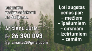 Līdz 20000Eur/ha. Maksimāli augstas cenas Visā Latvijā par Mežu