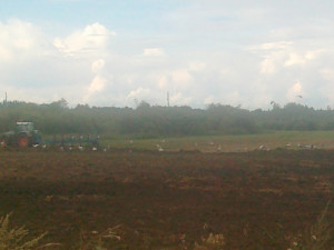 LIZ uz nomu Rēzeknes nov.