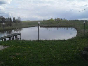 nekustamais īpašums