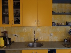 pārdodu 2 istabu dzīvokli Rīgā