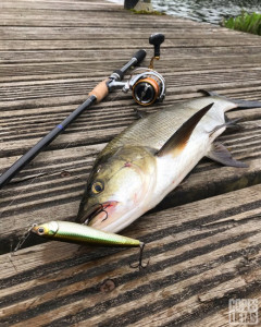 Pārdodu spiningu Major Craft Dodger