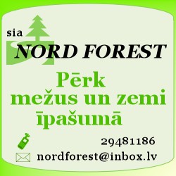 Pērk mežu un zemi īpašumā
