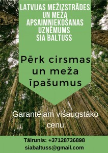 Pērk mežus un cirsmas visā Latvijā