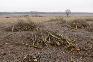 Pļavu tīrīšana - Krūmu ciršana