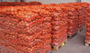 Продается лук высокого качества из России