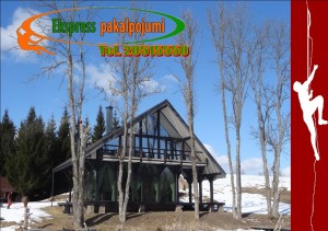 Profesionāla koku zāģēšana.