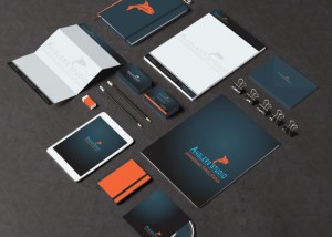 Profesionāla logo un korporatīvā stila izstrāde