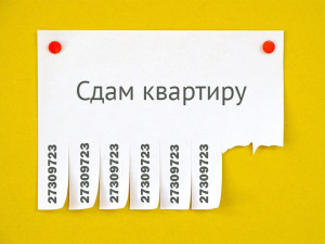 Сдаю квартиру