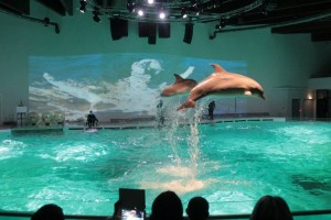 Сказочная земля Ниды