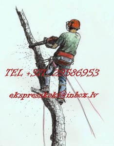 Teritoriju uzkopšana.