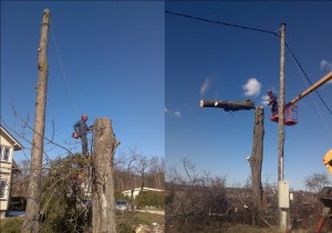 Удаление опасных деревьев