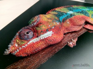 UV drukas pakalpojumi