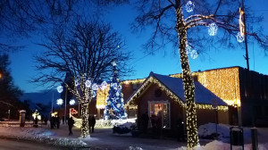 Вильнюс. Тракай. Рождественские кибинай. Доставка.