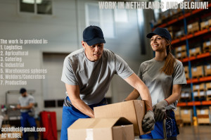 WE OFFER WORK in NETHERLANDS and BELGIUM