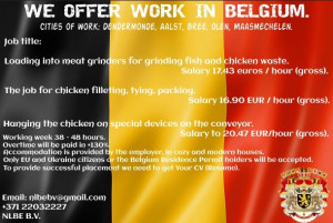 Work in Belgium,