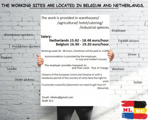 Work in warehouses in Netherlands.