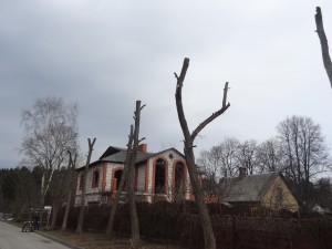 Zāles pļaušana, jumtu tīrīšana, teritoriju uzkopšana