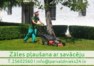 Zāles pļaušana | Mauriņa pļaušana