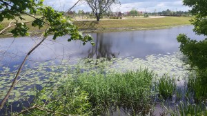Zeme Jelgavas centrā
