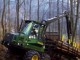 Pērkam mežus un sniedzam mežizstrādes pakalpojumus