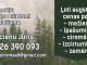 Līdz 20000Eur/ha. Maksimāli augstas cenas Visā Latvijā par Mežu