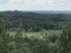 Līdz 20000Eur/ha. Maksimāli augstas cenas Visā Latvijā par Mežu