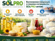 Масложировая продукция и пищевые ингредиенты SolPro оптом