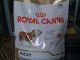 Suņu bariba ROYAL CANIN Buldog 12kg