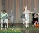 Deju nodarbības bērniem Rīgas centrā
